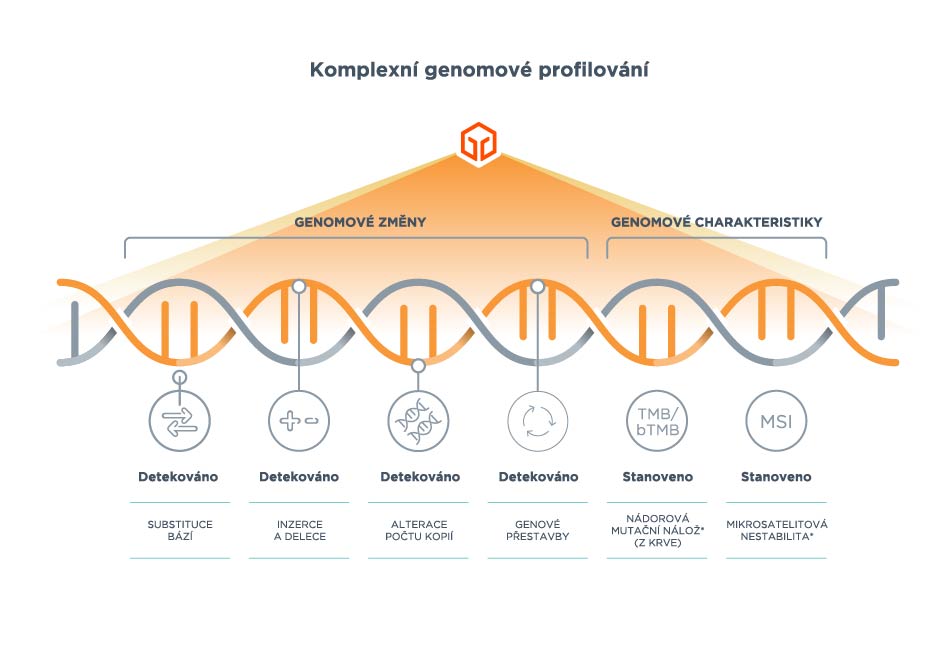 Our portfolio of comprehensive genomic profiling services enables treatment strategies to be personalised for patients in diverse clinical situations